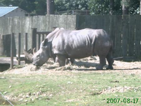 thoiry aout 2007